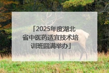2025年度湖北省中医药适宜技术培训班圆满举办